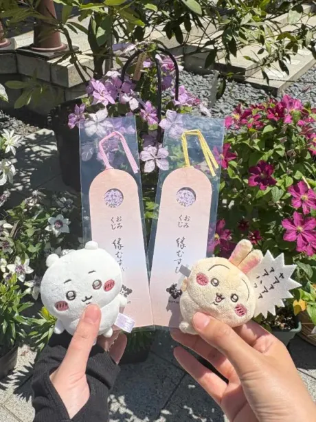 ちい活❤️/小町-こまち-