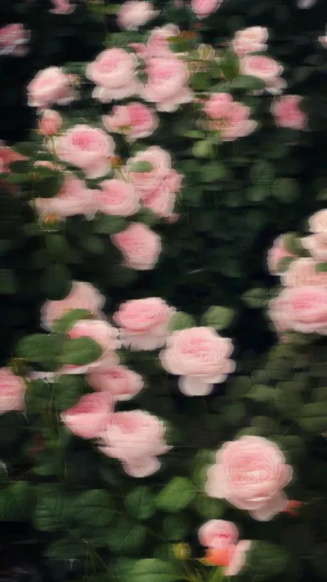 えくぼが可愛くてお兄ちゃんみたいなお客さま🍀/ラン