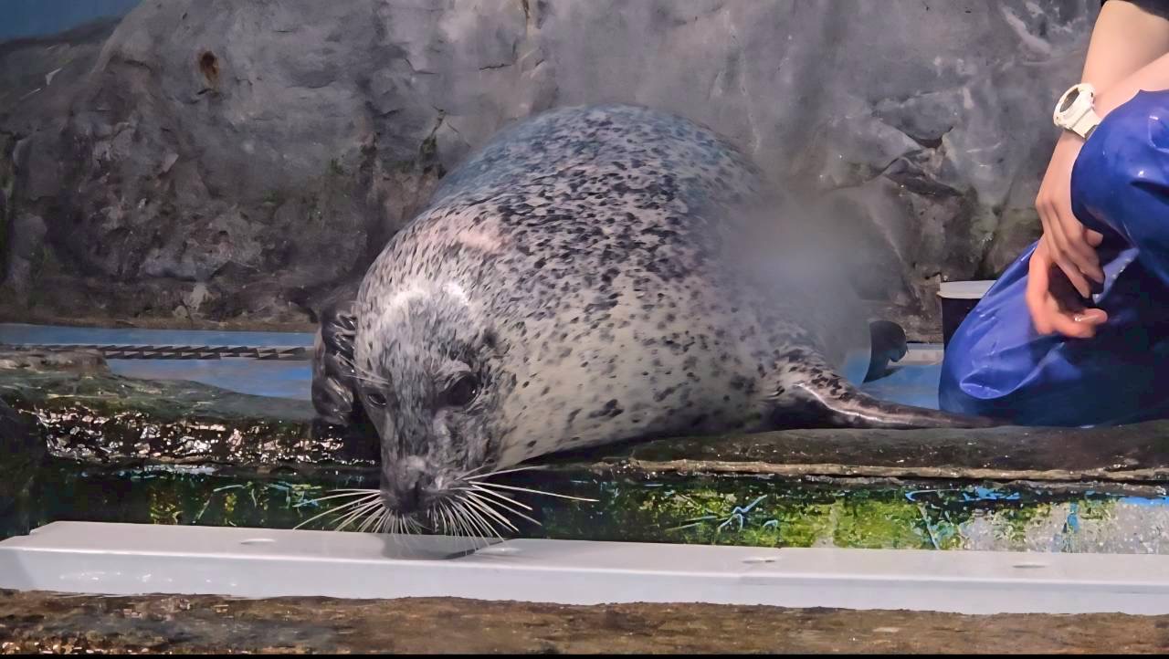 自分のペースで