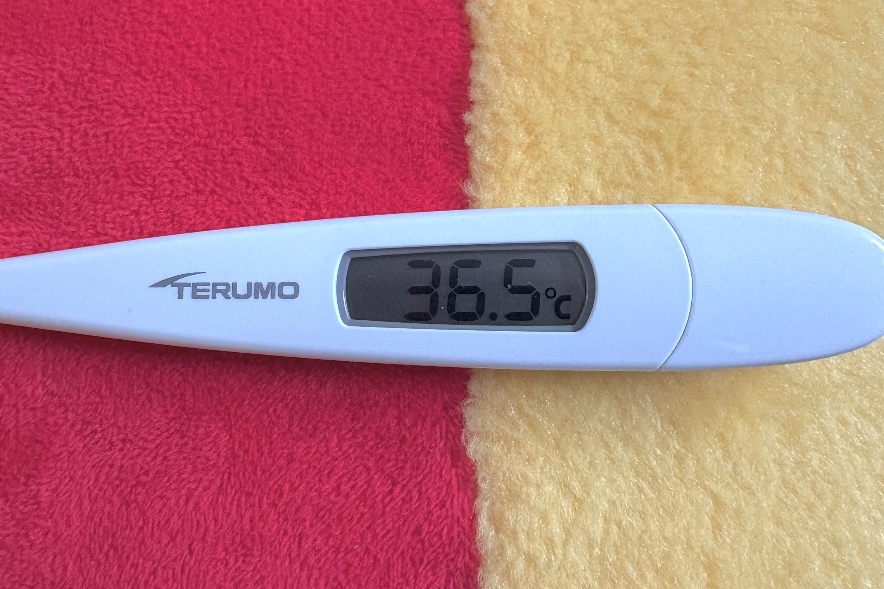 これから出勤です♪/体験入店りん【弘前黒石】