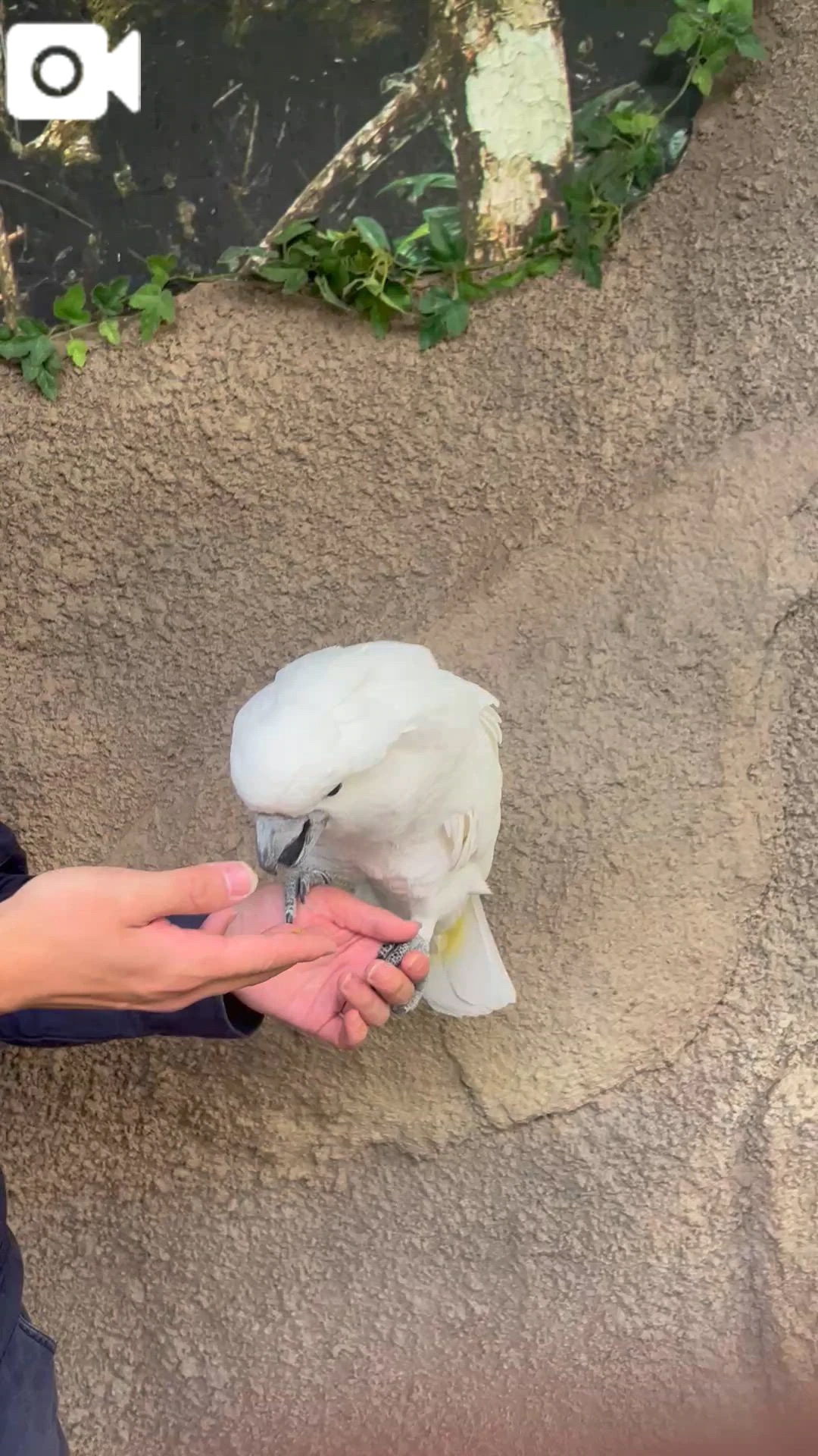 那須~(＊◕ᴗ◕＊)