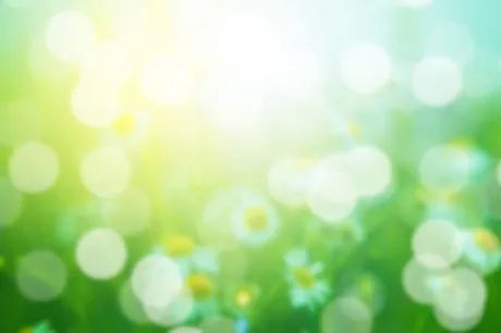 シーズン到来/ことみ【弘前黒石】