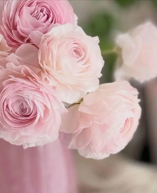 由奈(ゆな)グランドオペラ福岡