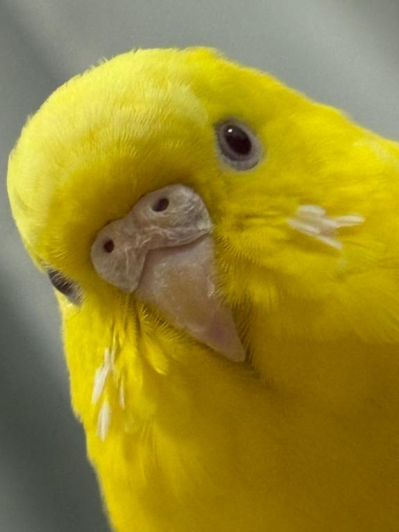 おはよう☀️/しおり