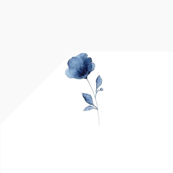 ご予約🦋.*˚