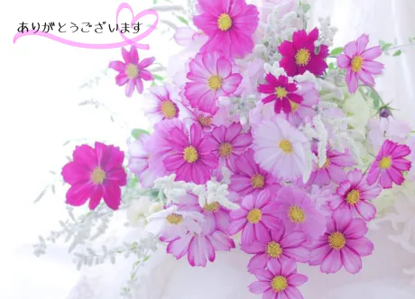 ご予約のお礼/ゆりか