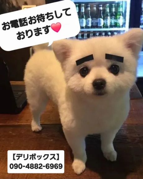 ★寒暖差に気を付けましょ💦★