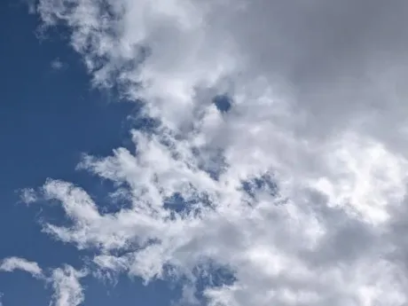 出勤しました/タエ