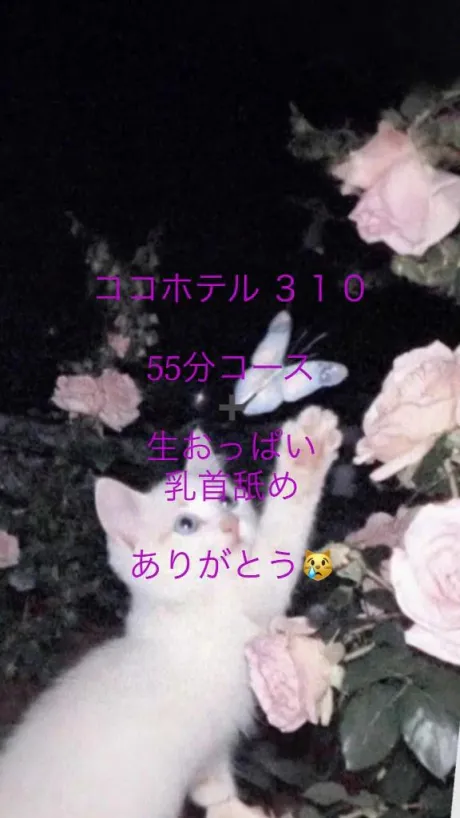 お礼🕊💌/体験入店 ほむら