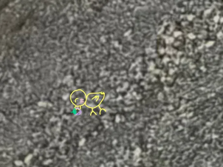 ももこです(^з^)日曜日ありがとうございました/ももこ