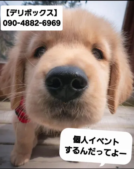 めい (魅惑のEカップ、パイパン嬢)デリボックス
