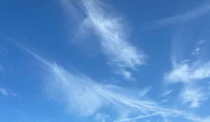 青空/ゆきな 奥様