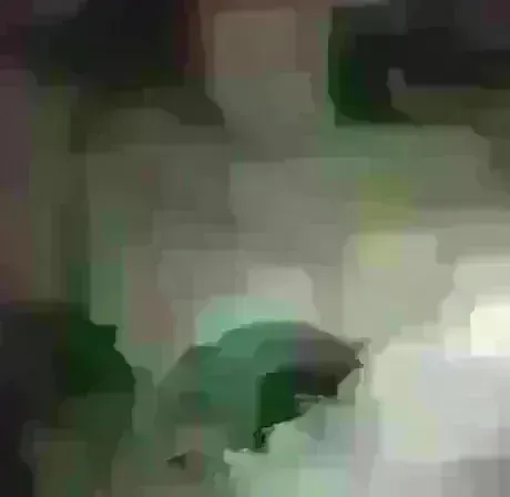 久しぶりだよ