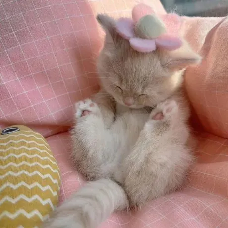 あのロイヤルクラブ