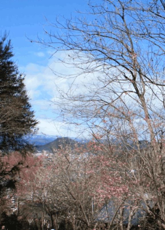 ★まみ★極上熟女店長激押し！隣の人妻お口で愛して