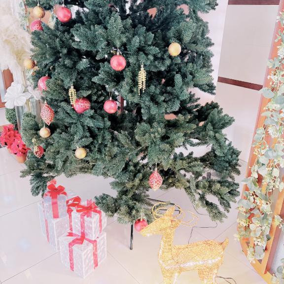 💌おんなじ性癖だね🩵