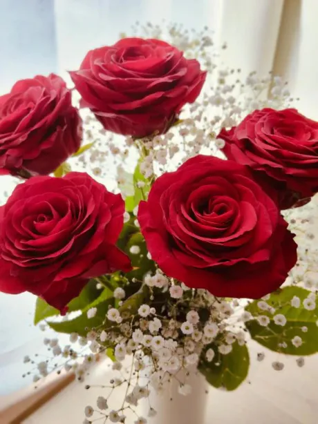 ことみ奥様鉄道69　仙台店