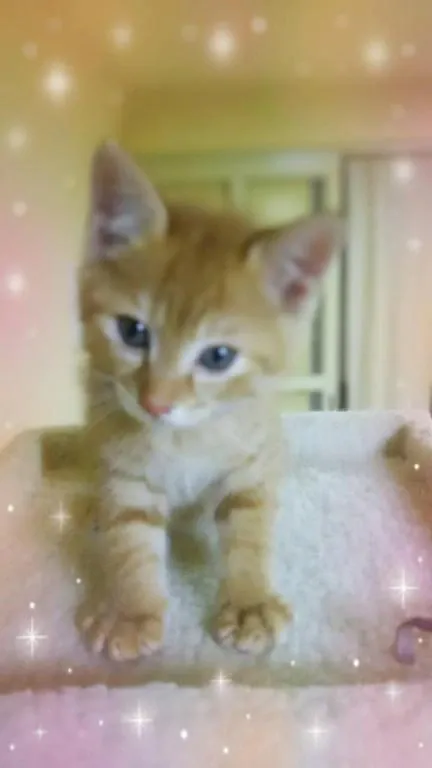 感謝するばかりです♡/リサ