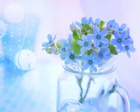 おはようございます/ゆりか