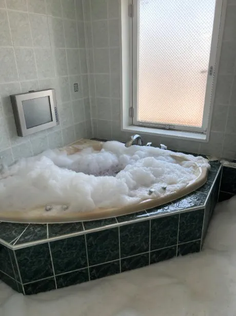 ひな奥様メモリアル