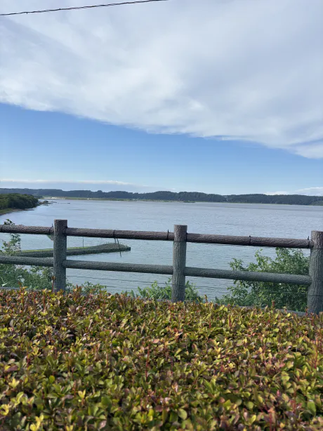 今日から7月です