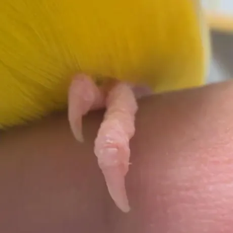 あんよ🐾
