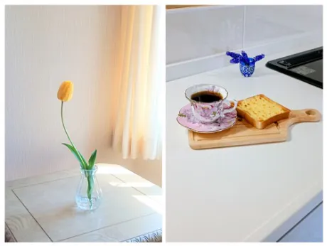 afternoon/美しいみなこ【青森】