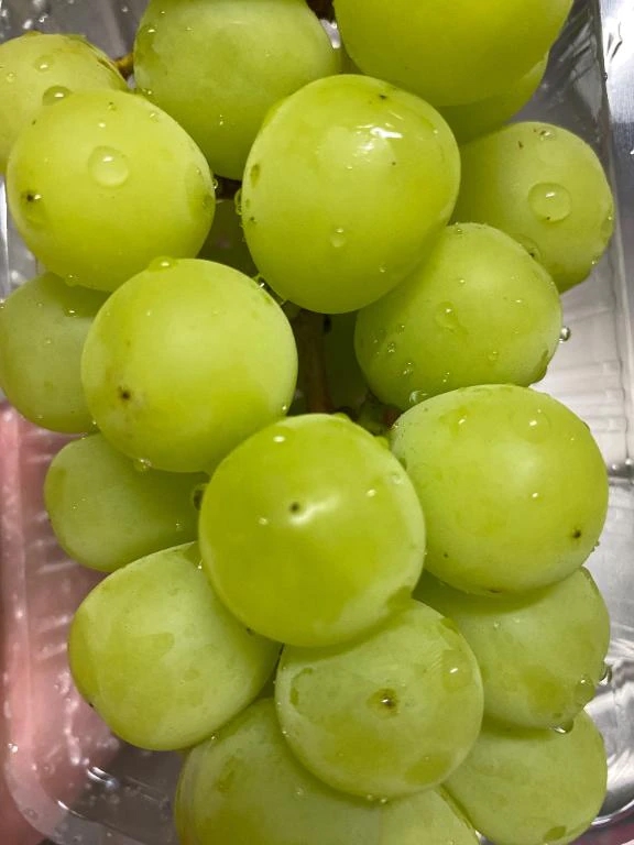 光葵-こうき-人妻倶楽部　花椿盛岡店