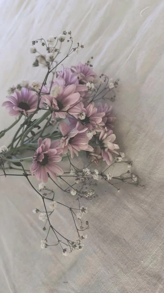 乃々花(ののか)グランドオペラ福岡