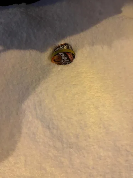 アイスとの移動/あいら【その体モデル級】