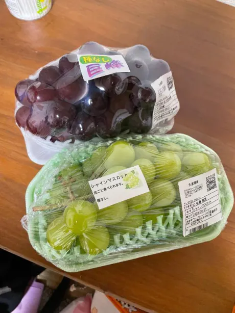 ぶどう🍇