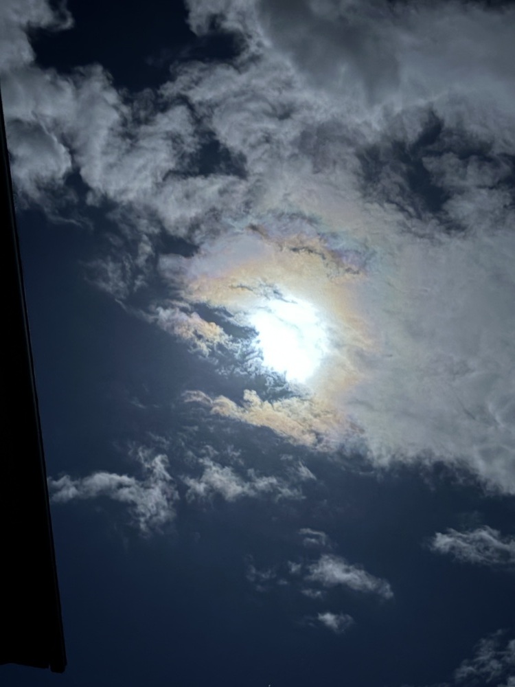 お疲れ様です 🍥🩷