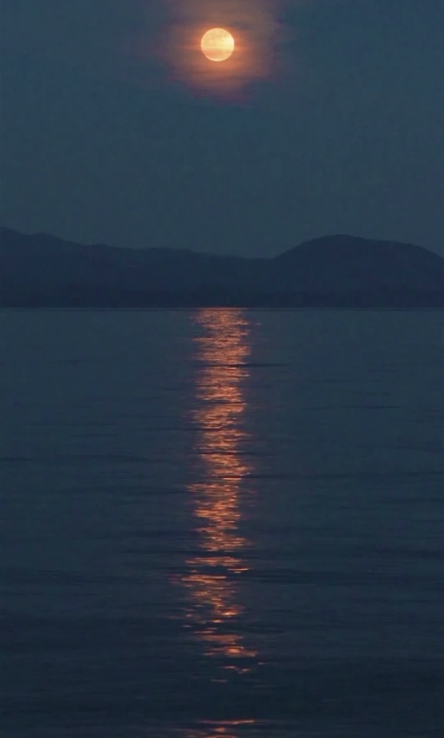 おはようございます🌕