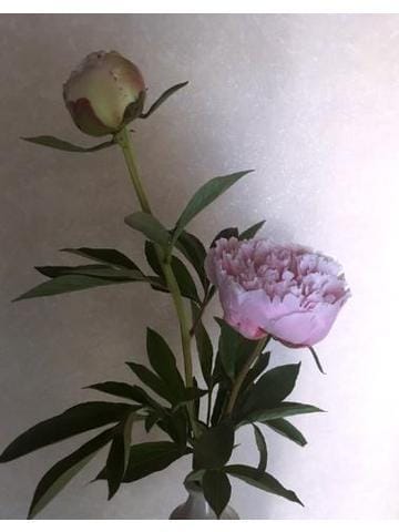 ありがとうございました♡