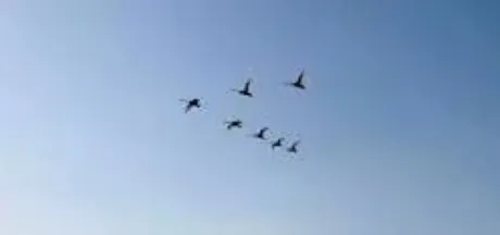 意外と暖かい(^^)/鈴夏(すずか)