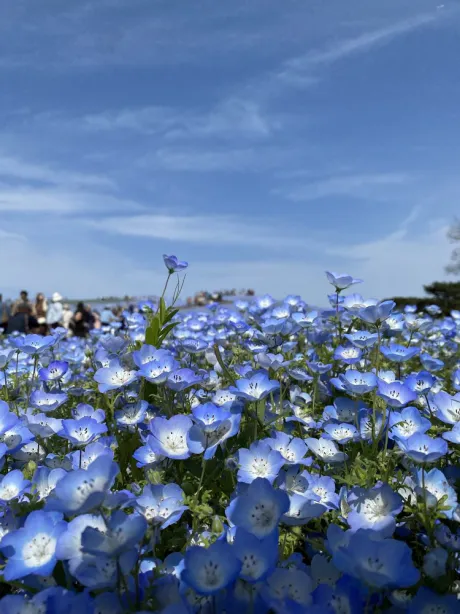メアリのブログ 💖 キレイデー１日目 💖