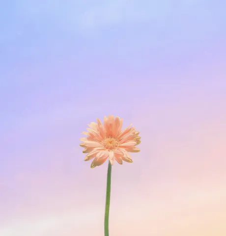 出勤したよ！/小倉　百合