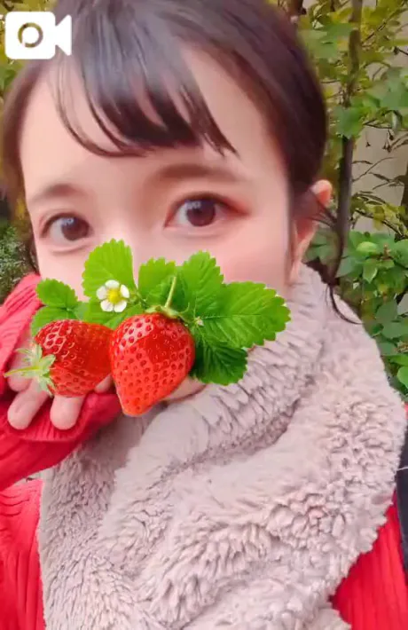 【🎀🍓いちごな関係(⁠◍⁠•⁠ᴗ⁠•⁠◍⁠)⁠✧⁠*⁠。🍓🎀】/ひめか