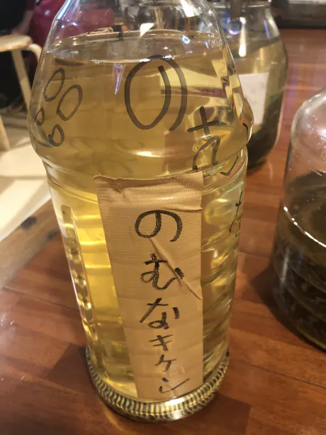 S嬢・空条レナフェティッシュDOLCE