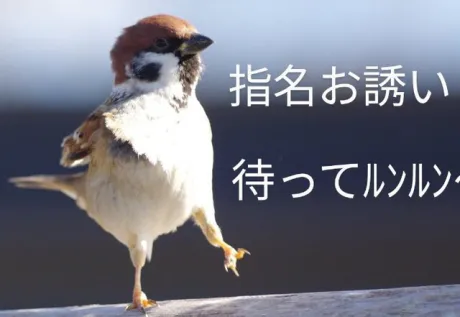 つばき【青森】嗚呼45歳以上 青森店