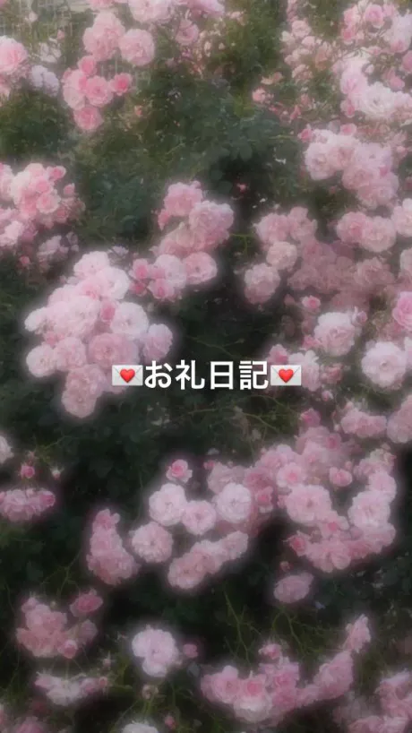 お礼120分のお兄さん/すい
