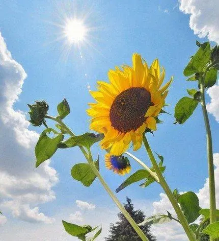 ☀陽射しがジリジリ☀/鈴夏(すずか)