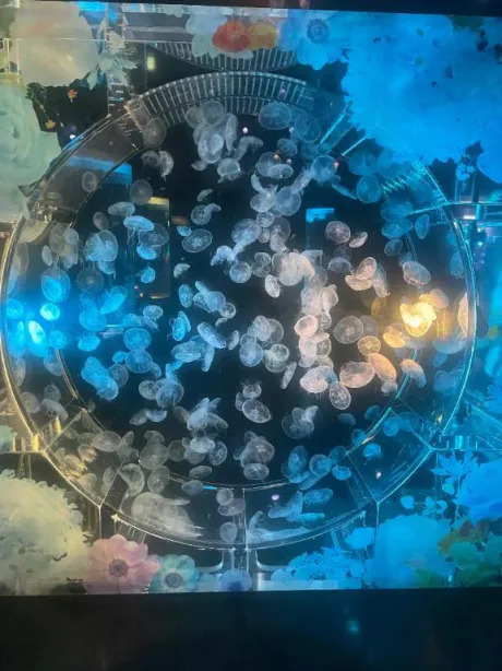 みいすごいエステ　仙台店