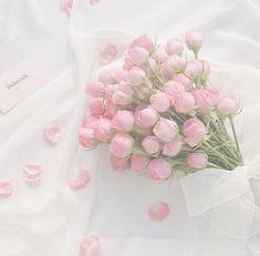 おやすみなさい♡