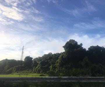 そろそろ沼にはまってみる?♡