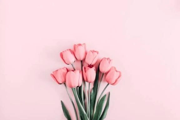 H様ご予約ありがとうございます