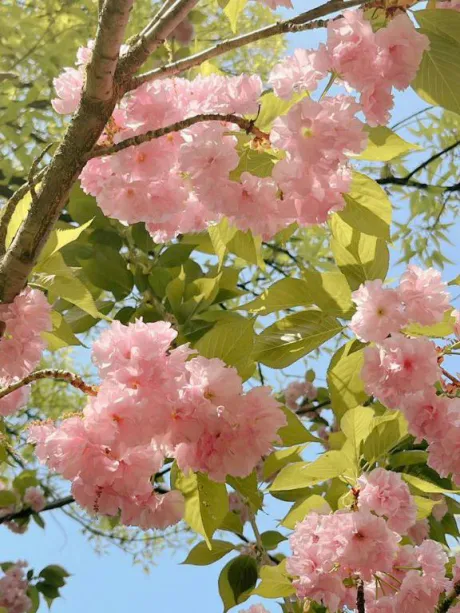 ランプライベートレッスン