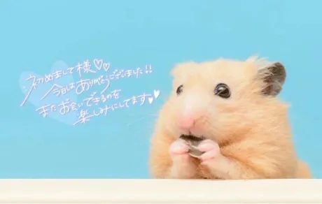 Monday.💌/仲村（なかむら）