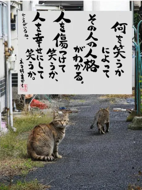 シオン人妻生レンタルーNTRー