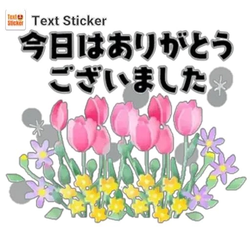 新人みさきマダム DOLCE